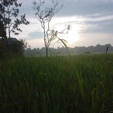 Sigiriya Paddy Field Hut Villa Стая снимка