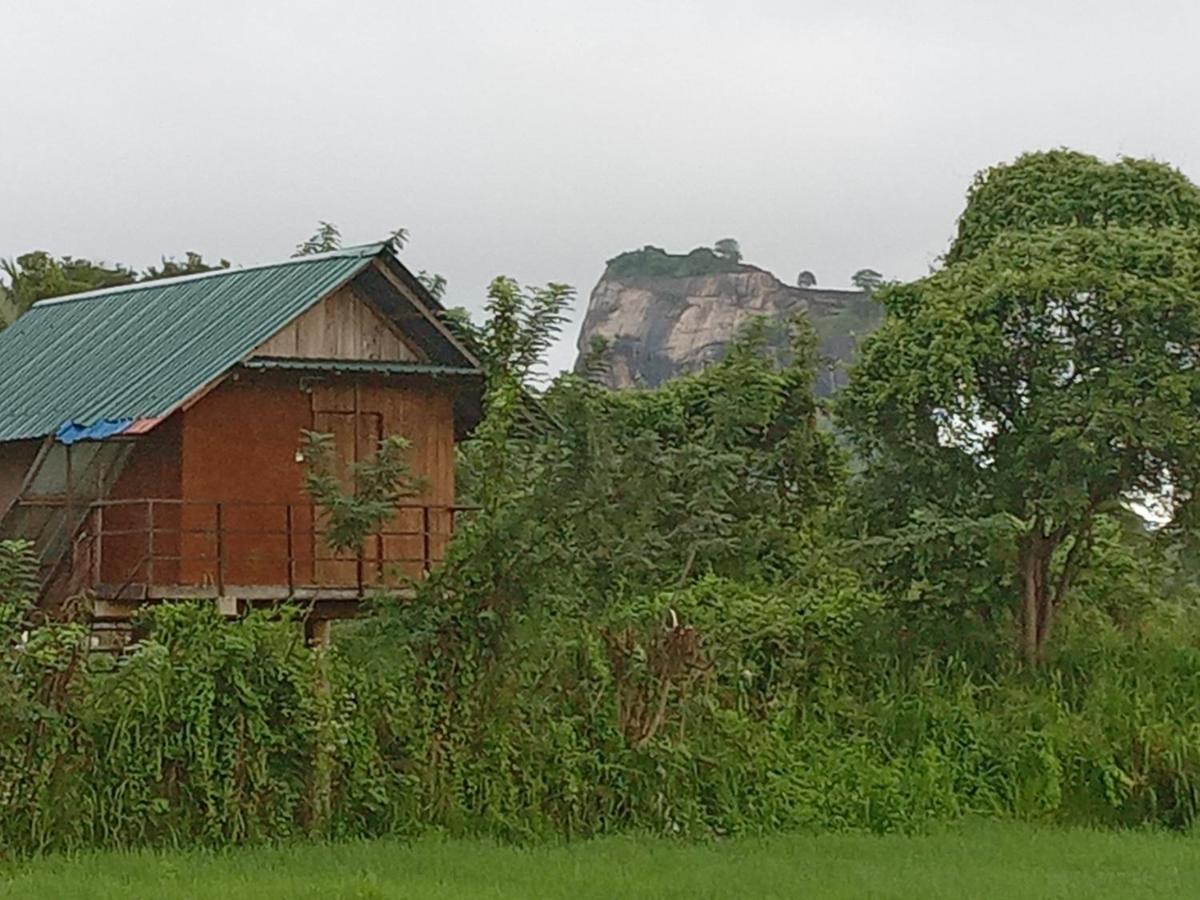 Sigiriya Paddy Field Hut Villa Екстериор снимка